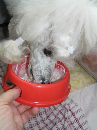 ...až do dna misky,,,